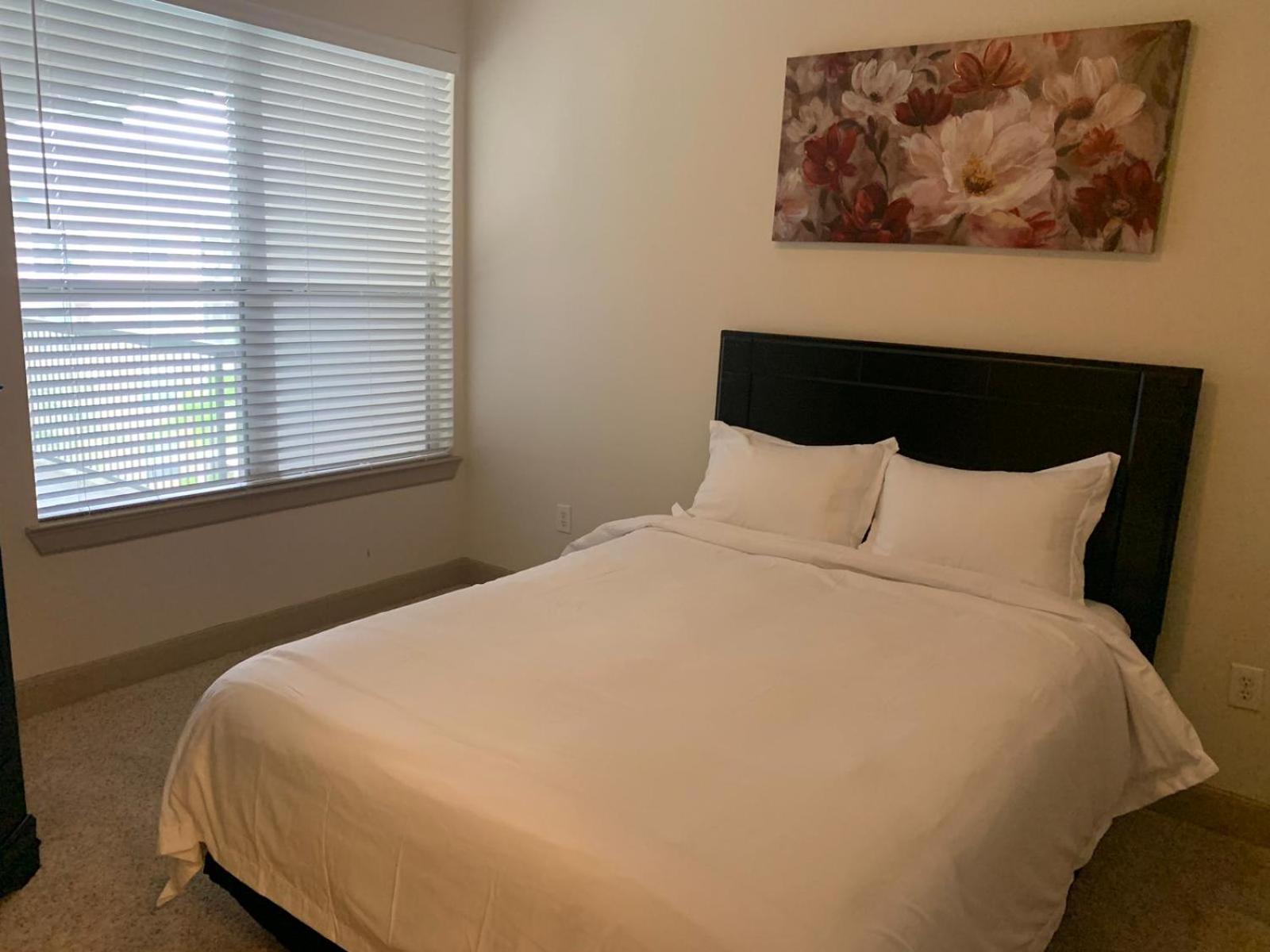 Gorgeous Furnished Apartments Near Texas Medical Center & Nrg Stadium Houston Pokój zdjęcie